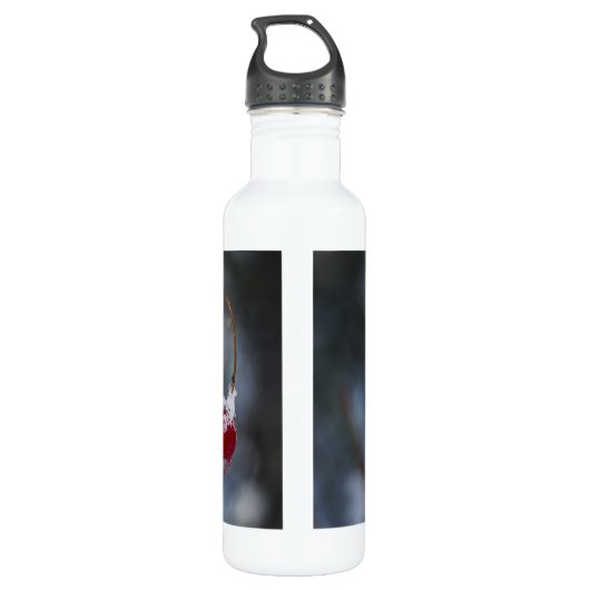 Mattierte Berries Edelstahlflasche (Rückseite)