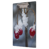 Mattierte Berries Klemmbrett (Links)