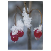 Mattierte Berries Klemmbrett (Rückseite)