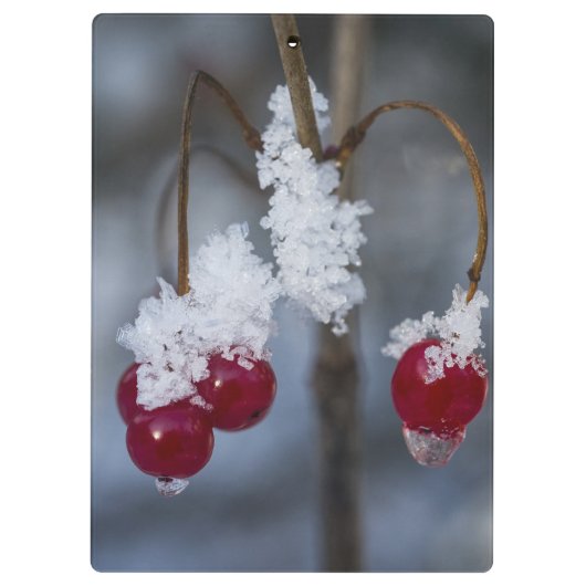 Mattierte Berries Klemmbrett (Rückseite)