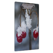 Mattierte Berries Klemmbrett (Rechts)