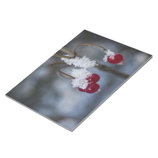 Mattierte Berries Notizblock (angewinkelt)