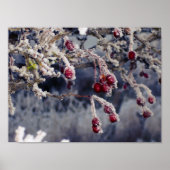 Mattierte Berries Poster (Vorne)