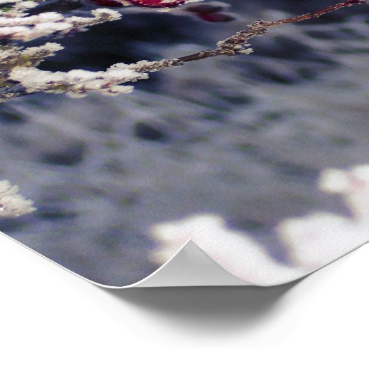 Mattierte Berries Poster (Ecke)