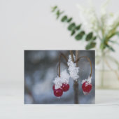 Mattierte Berries Postkarte (Stehend Vorderseite)