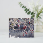 Mattierte Berries Postkarte (Stehend Vorderseite)
