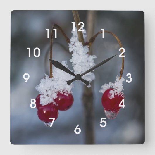 Mattierte Berries Quadratische Wanduhr (Vorderseite)