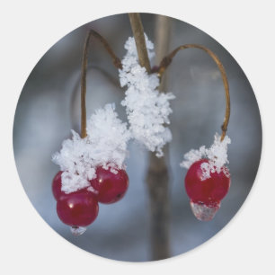 Mattierte Berries Runder Aufkleber