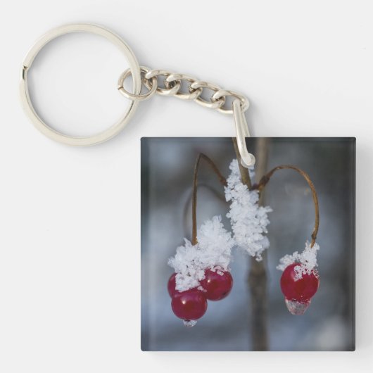 Mattierte Berries Schlüsselanhänger (Vorderseite)