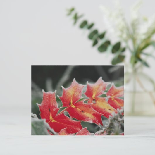 mattierte Blätter Postkarte (Stehend Vorderseite)