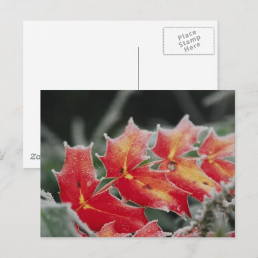 mattierte Blätter Postkarte (Vorne/Hinten)