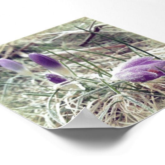 Mattierte Blume Poster (Ecke)