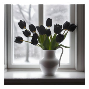 "Mattierte Eleganz: Schwarze Tulpen in einer weiße Fotodruck