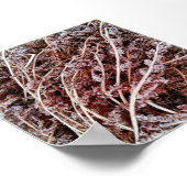 Mattierte Farn trocken tote Winter-Blätter Poster (Ecke)