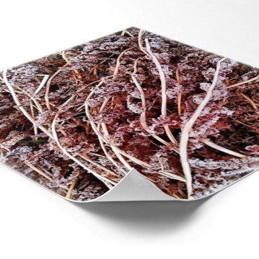 Mattierte Farn trocken tote Winter-Blätter Poster (Ecke)