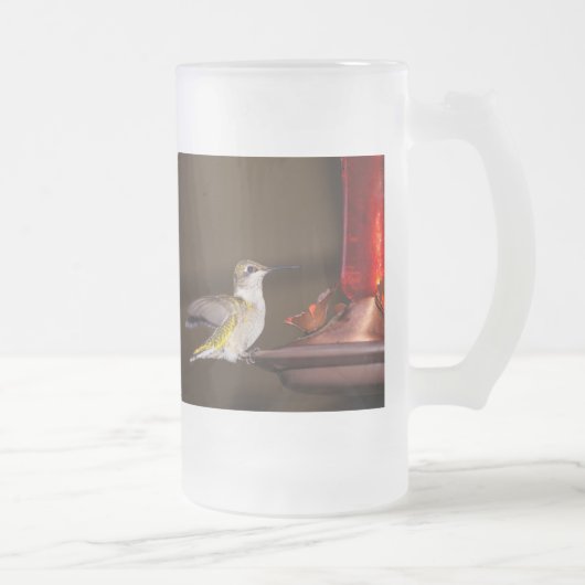Mattierte Hummingvogel-Glashütte Mattglas Bierglas (Rechts)