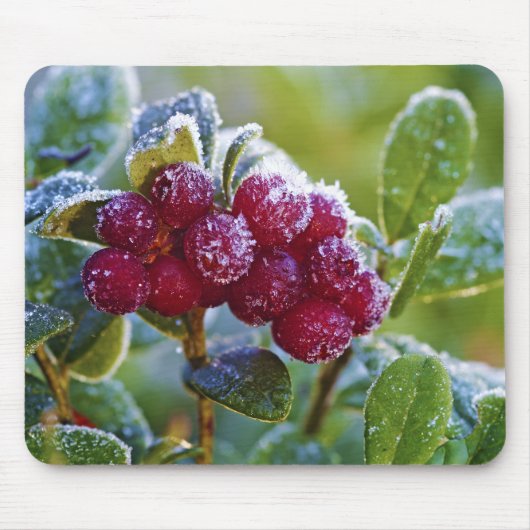 Mattierte Longonbeeren Mousepad (Vorne)