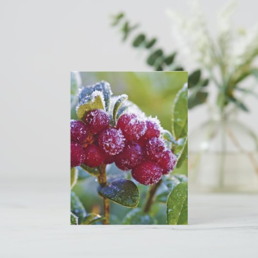 Mattierte Longonbeeren Postkarte (Stehend Vorderseite)