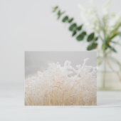 Mattierte Wintergras Postkarte (Stehend Vorderseite)
