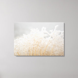 Mattierte Wintergräser Leinwanddruck