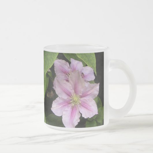 Mattierter Glass-Stil ( Clematis) Mattglastasse (Rechts)