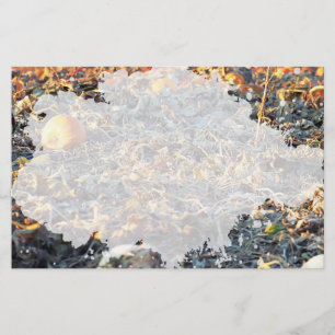Mattierter Pumpkin-Patch Briefpapier