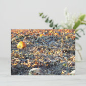 Mattierter Pumpkin-Patch Einladung (Stehend Vorderseite)
