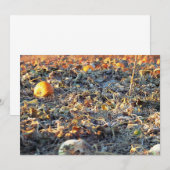 Mattierter Pumpkin-Patch Einladung (Vorne/Hinten)