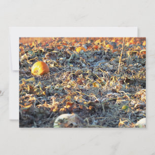 Mattierter Pumpkin-Patch Einladung