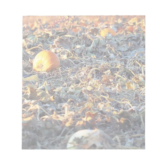 Mattierter Pumpkin-Patch Notizblock (Vorderseite)