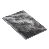 Mattiertes Pine Winter Branch Notebook Notizblock (Rechte Seite)
