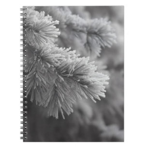 Mattiertes Pine Winter Branch Notebook Notizblock