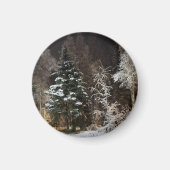 Mattiertes Schwarzwald-Nachtmagnet Magnet (Vorne)