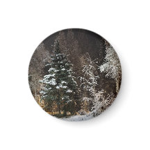 Mattiertes Schwarzwald-Nachtmagnet