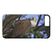 Mature Bald Eagle Case-Mate iPhone Hülle (Rückseite (Horizontal))