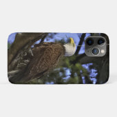 Mature Bald Eagle Case-Mate iPhone Hülle (Rückseite (Horizontal))