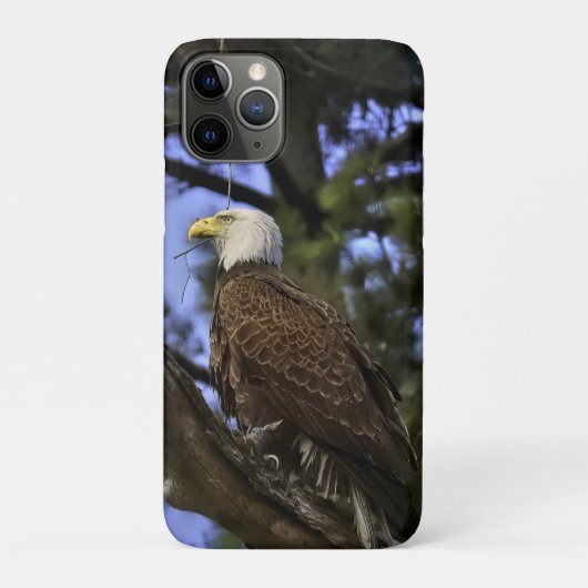 Mature Bald Eagle Case-Mate iPhone Hülle (Rückseite)