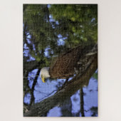 Mature Bald Eagle Puzzle (Vertikal)