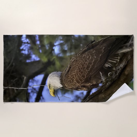 Mature Bald Eagle Strandtuch (Vorderseite)