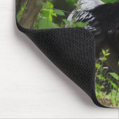 Mature Male Wild Türkei Mousepad (Ecke)