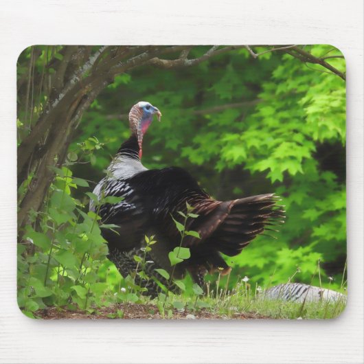 Mature Male Wild Türkei Mousepad (Vorne)