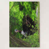 Mature Male Wild Türkei Puzzle (Vertikal)