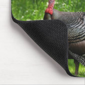 Mature Male Wild Türkei zeigt Feathers Mousepad (Ecke)