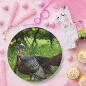 Mature Male Wild Türkei zeigt Feathers Pappteller (Party)