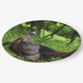 Mature Male Wild Türkei zeigt Feathers Pappteller (Schrägansicht)