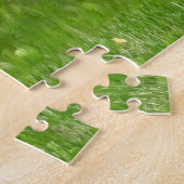 Mature Male Wild Türkei zeigt Feathers Puzzle (Seite)