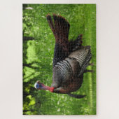 Mature Male Wild Türkei zeigt Feathers Puzzle (Vertikal)