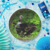 Mature Male Wild Turkey - Erntedank Pappteller (Party)