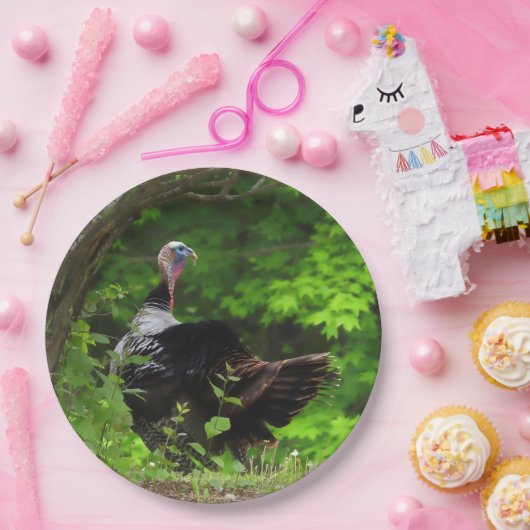 Mature Male Wild Turkey - Erntedank Pappteller (Party)