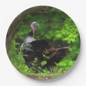 Mature Male Wild Turkey - Erntedank Pappteller (Vorderseite)